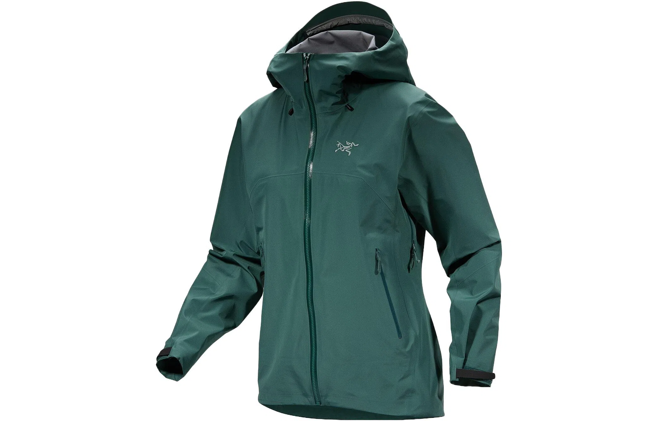 Arcteryx Beta Lightweight Jacket