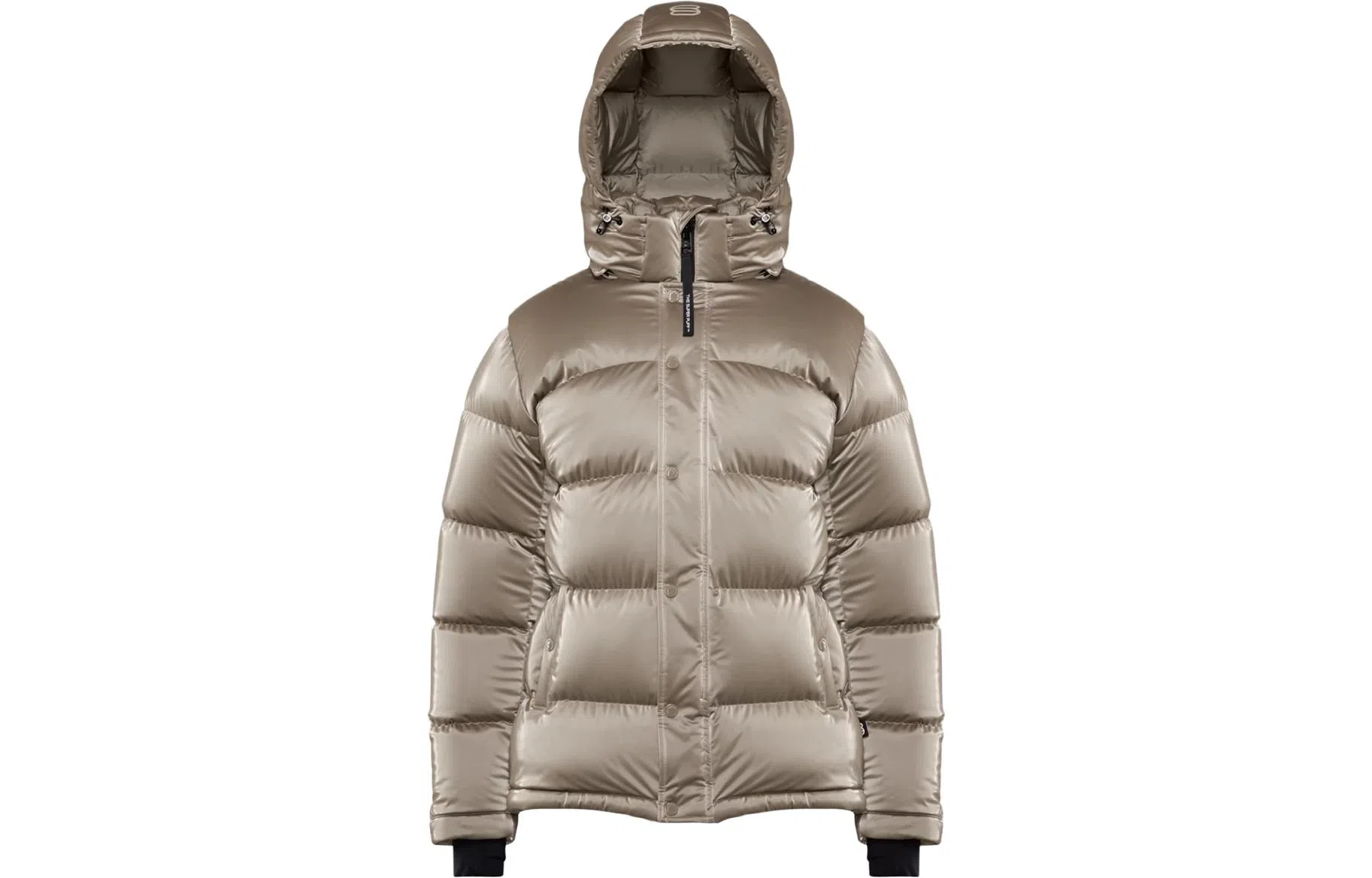 ARITZIA Super Puff Liquid Shine