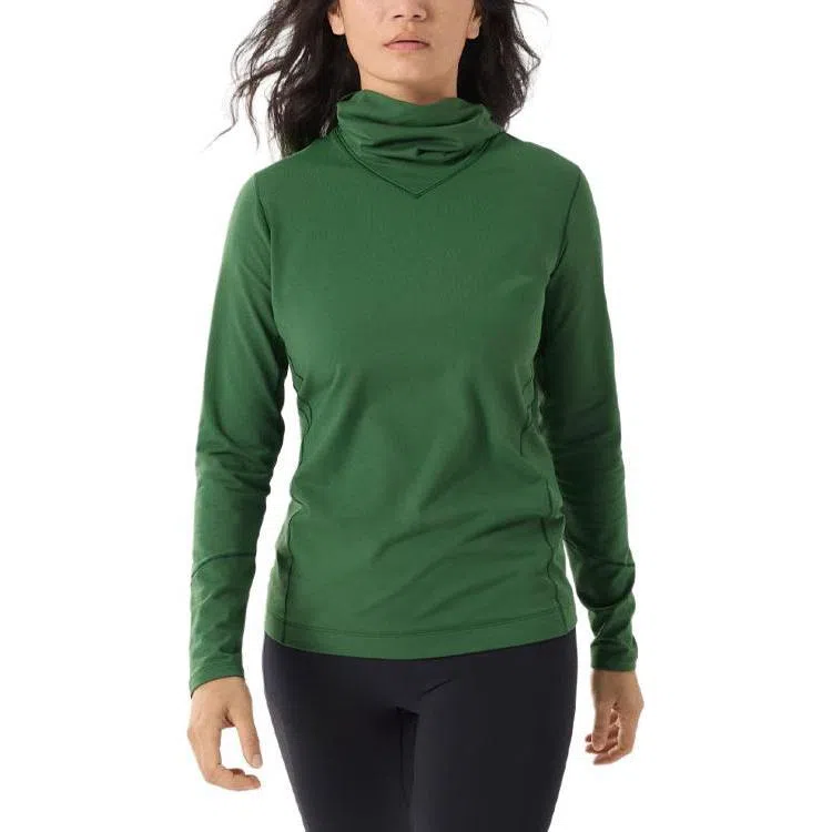 Arcteryx Rho Hoody