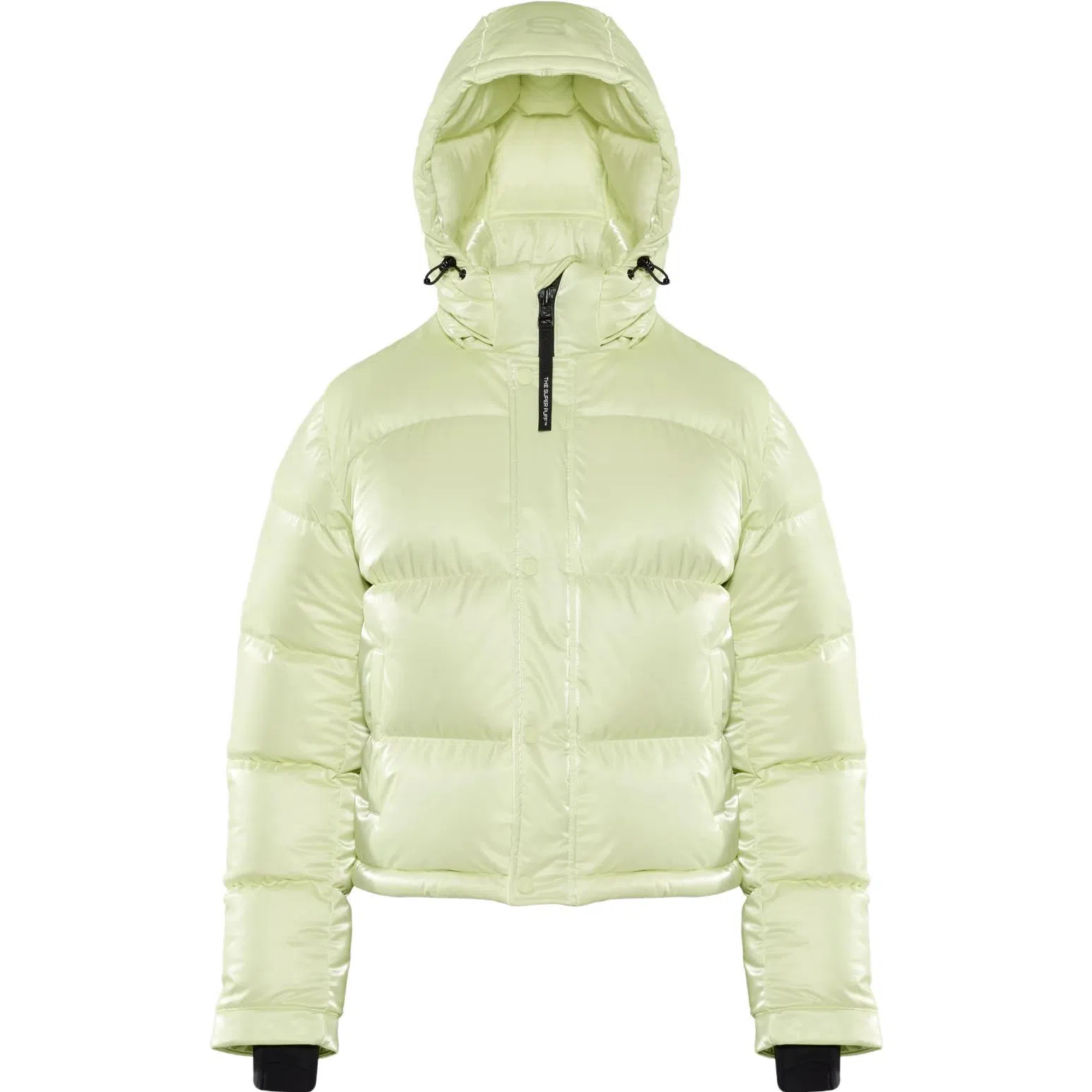 ARITZIA Super Puff Liquid Shine Shorty