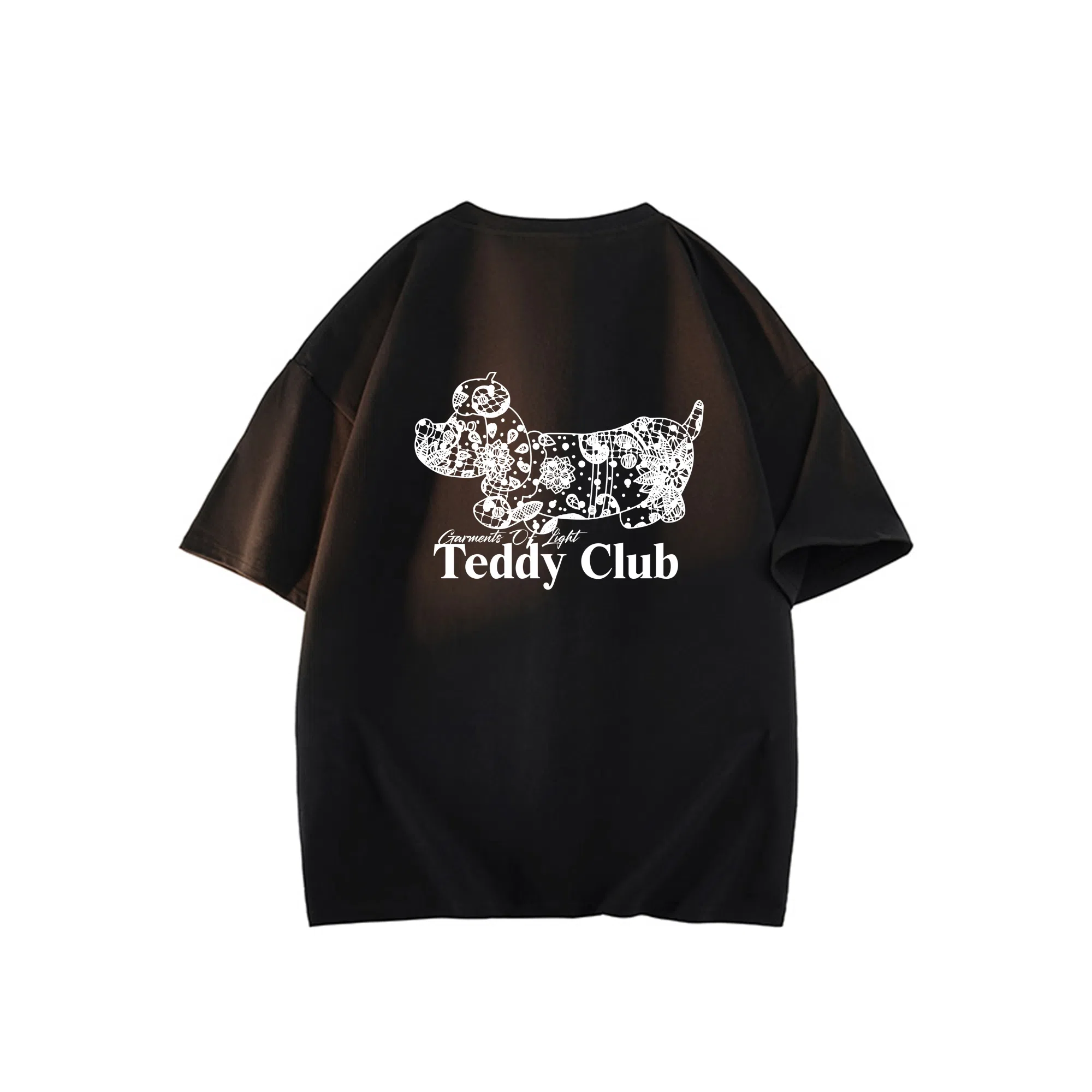 TEDDY College LOG0T