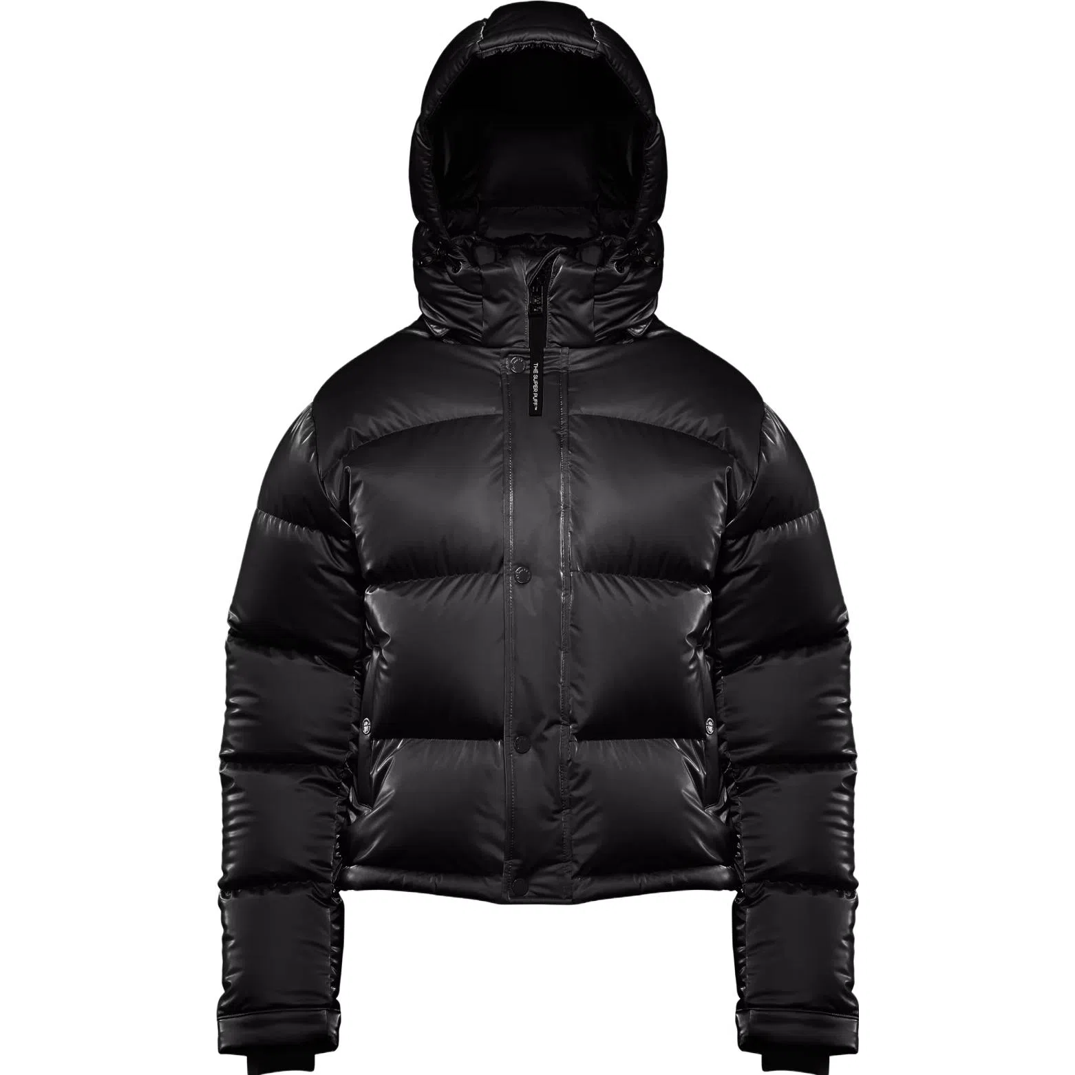 ARITZIA Super Puff Liquid Shine Shorty