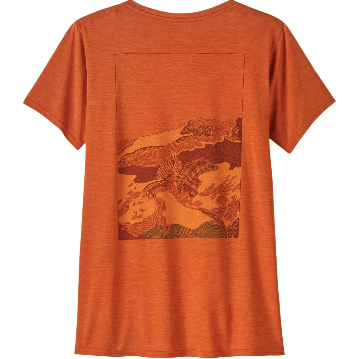 patagonia Cap Cool Daily- Lands T