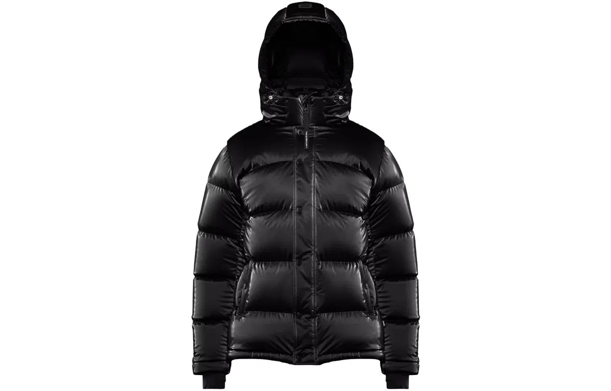 ARITZIA Super Puff Liquid Shine