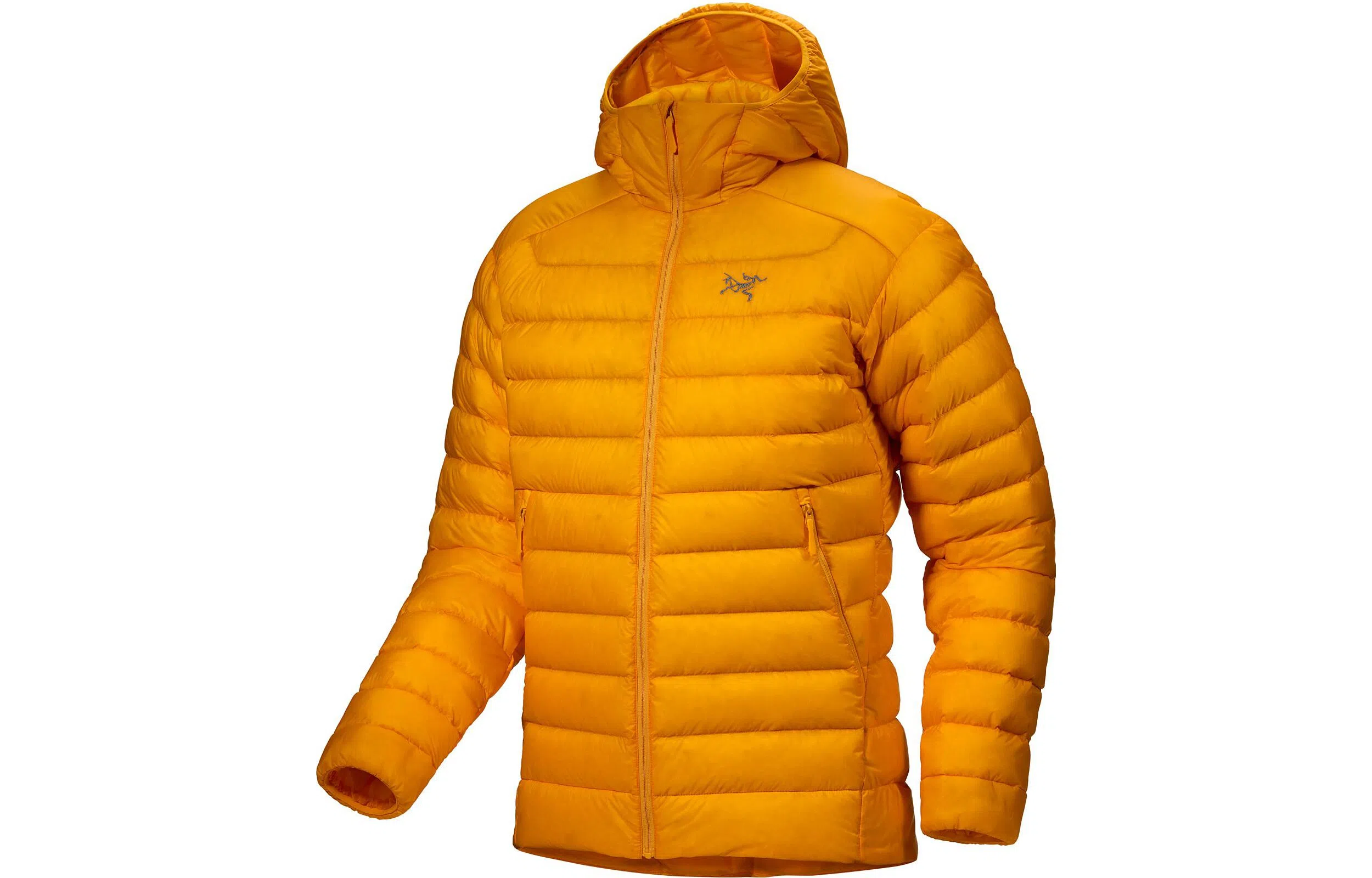 Arcteryx Cerium Hoody