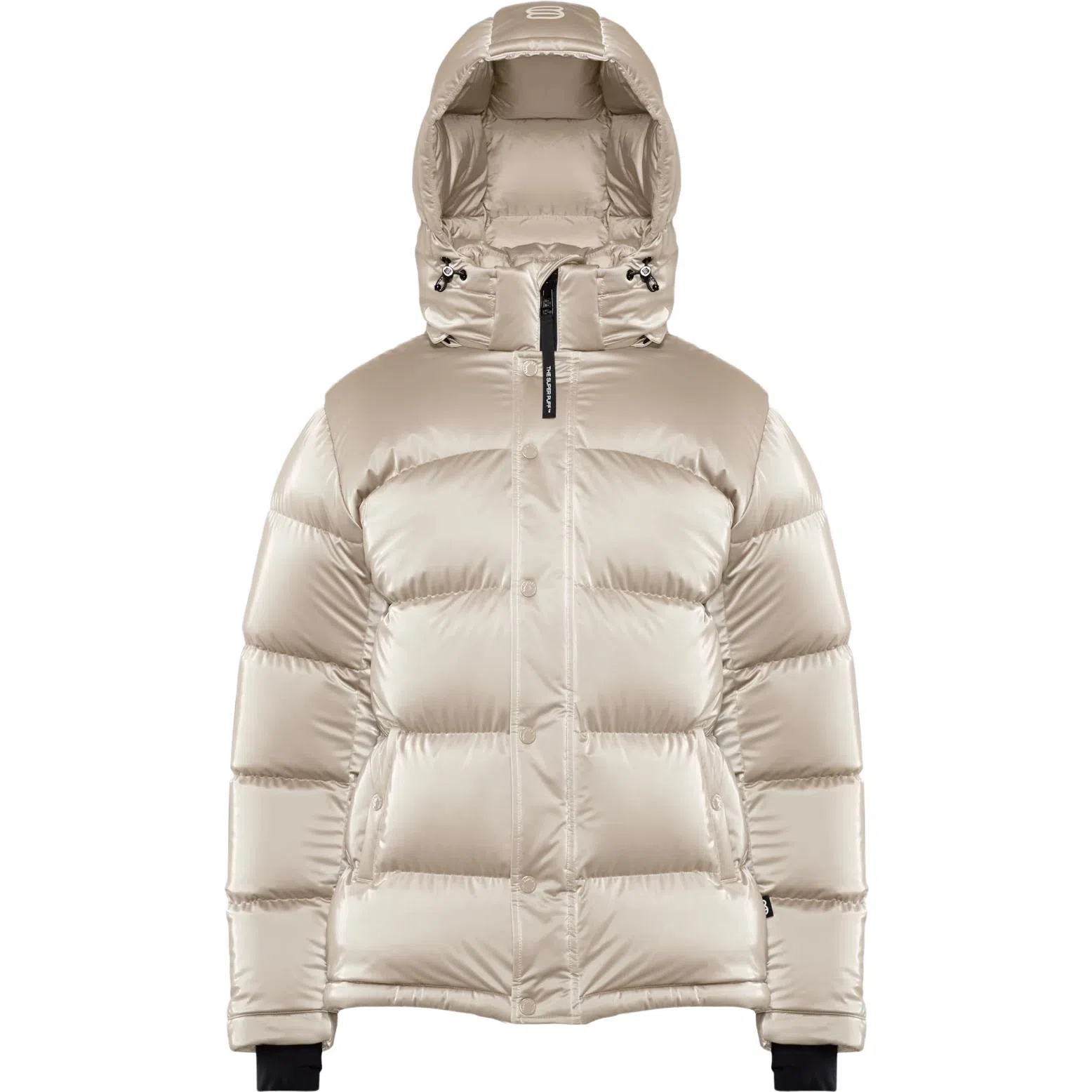 ARITZIA Super Puff Liquid Shine