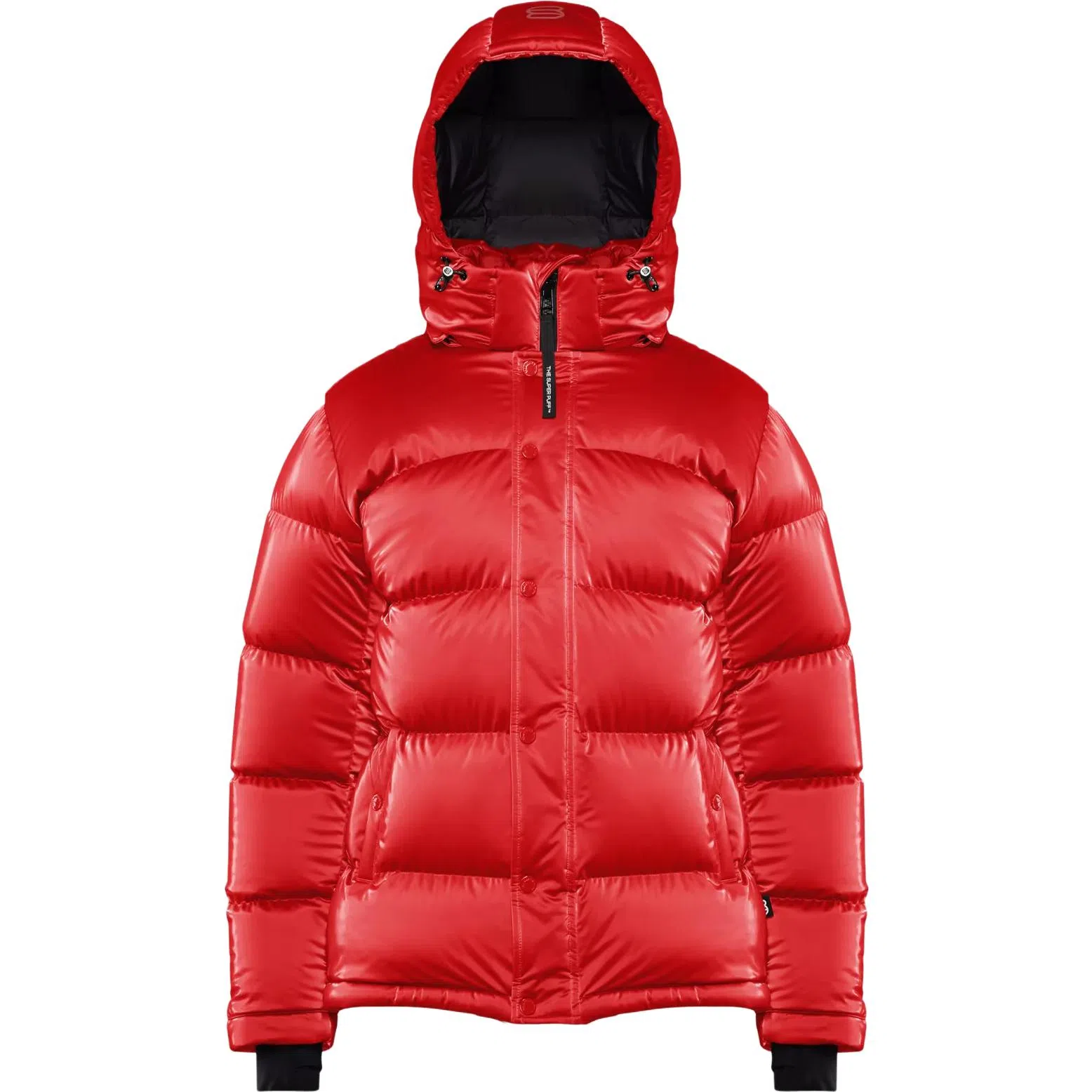 ARITZIA Super Puff Liquid Shine