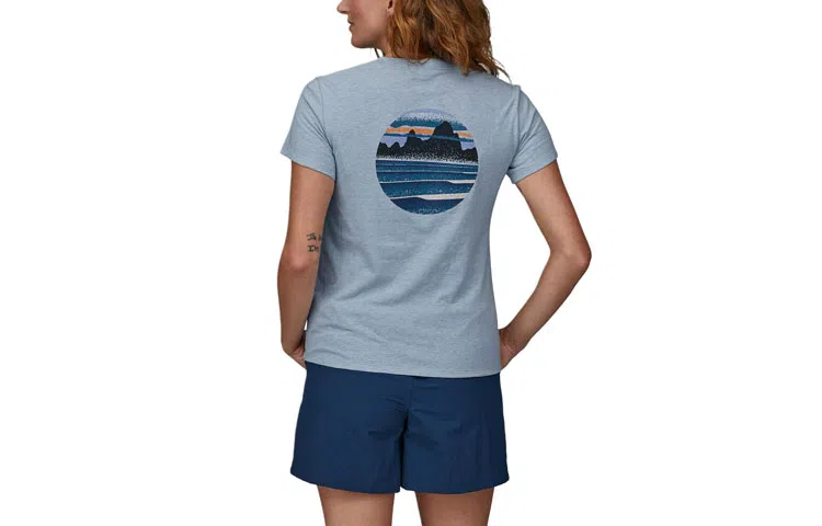 patagonia T