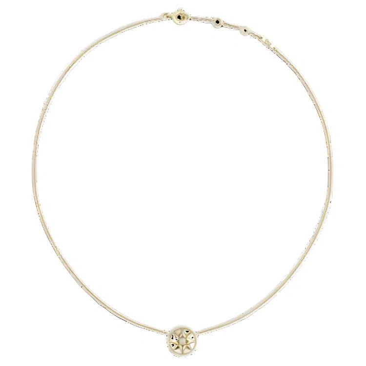 DIOR Rose des Vents 18K