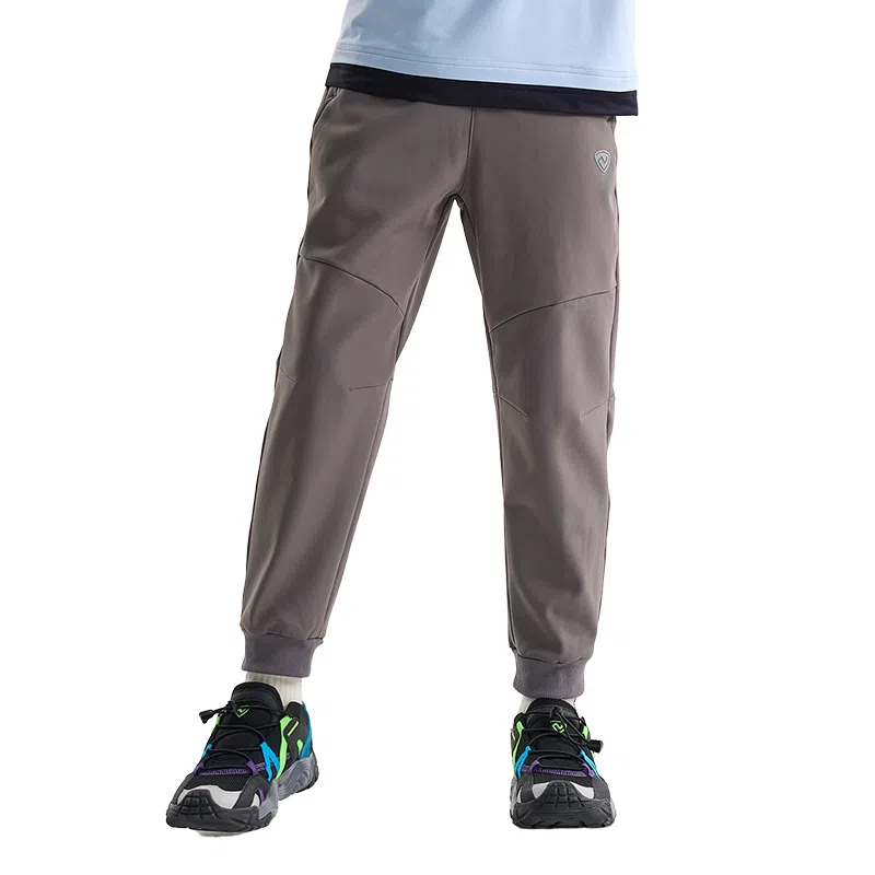 NORTHLAND PROFESSIONAL