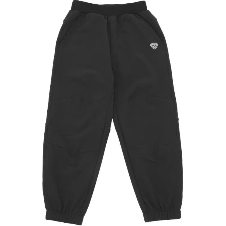 NORTHLAND PROFESSIONAL