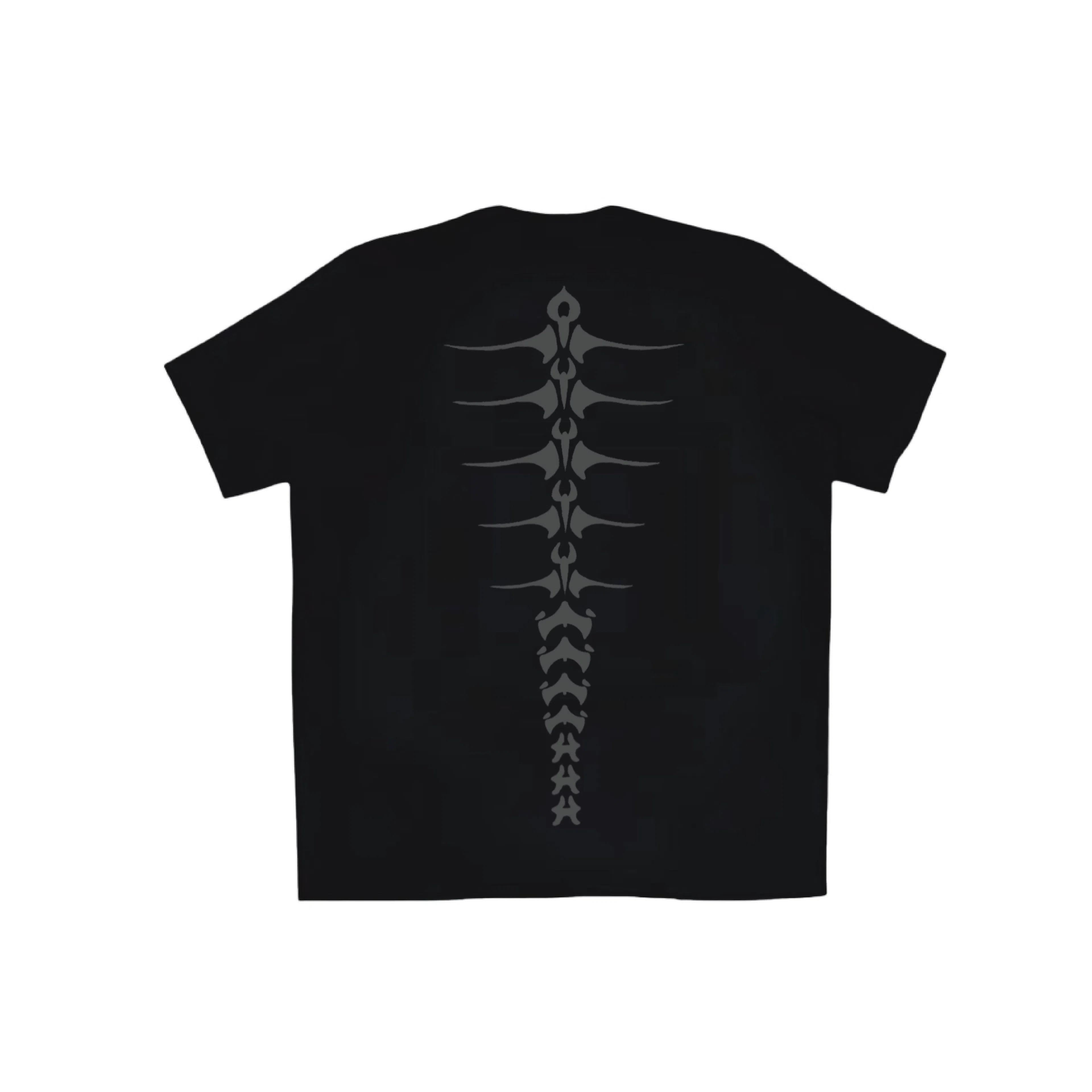 Arc'teryx Totem Tee