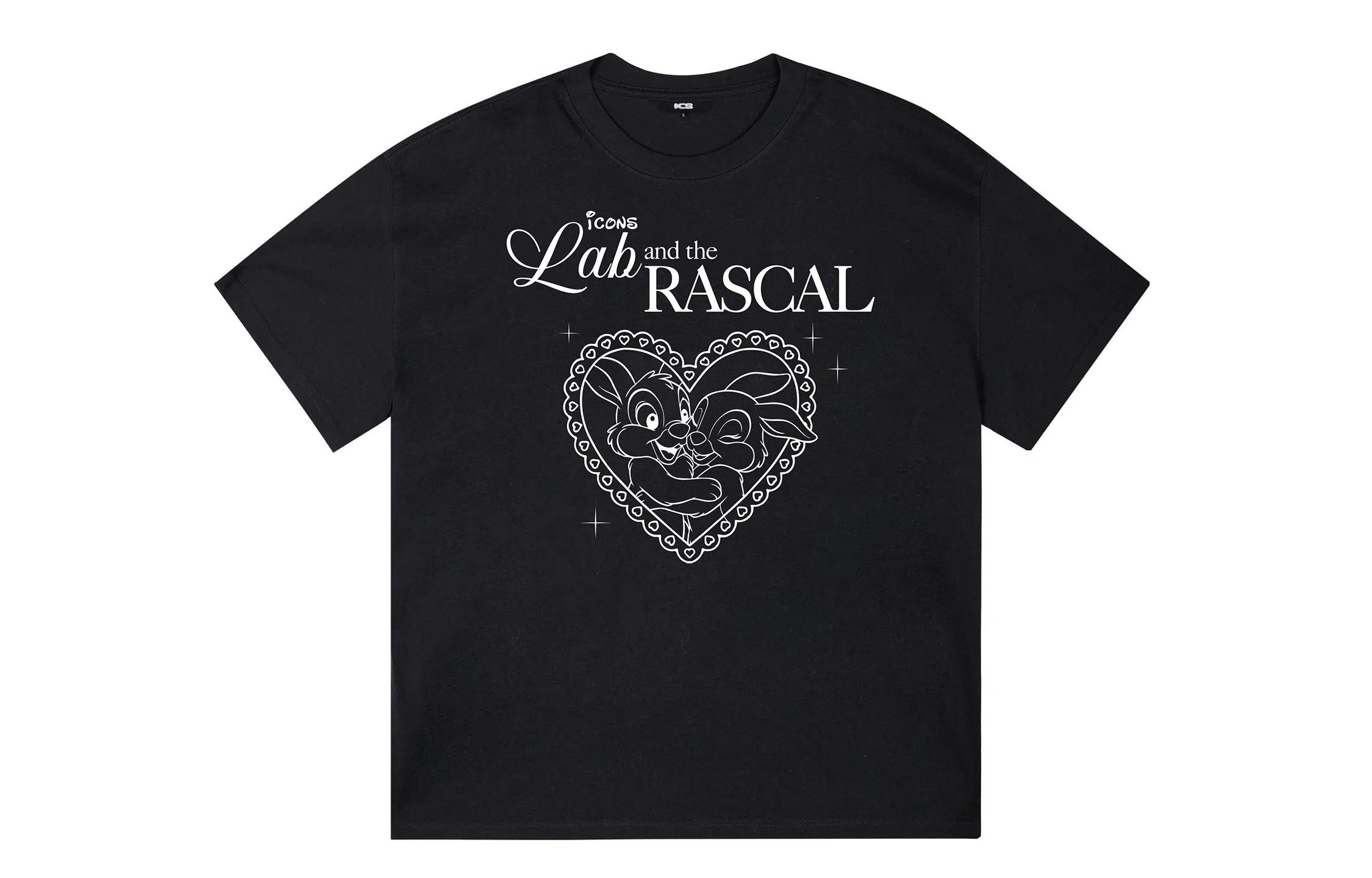 ICONS Lab ICS T