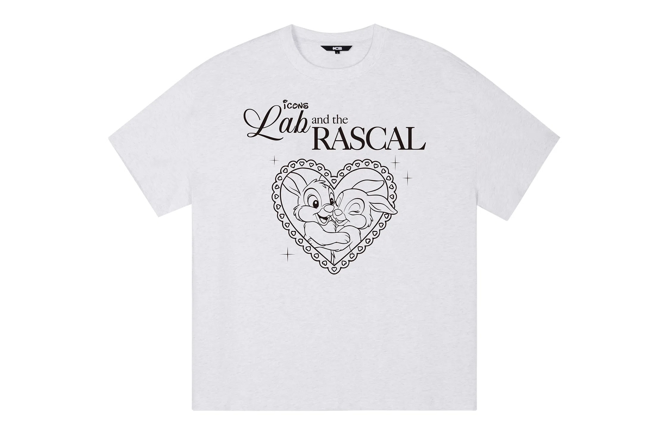 ICONS Lab ICS T
