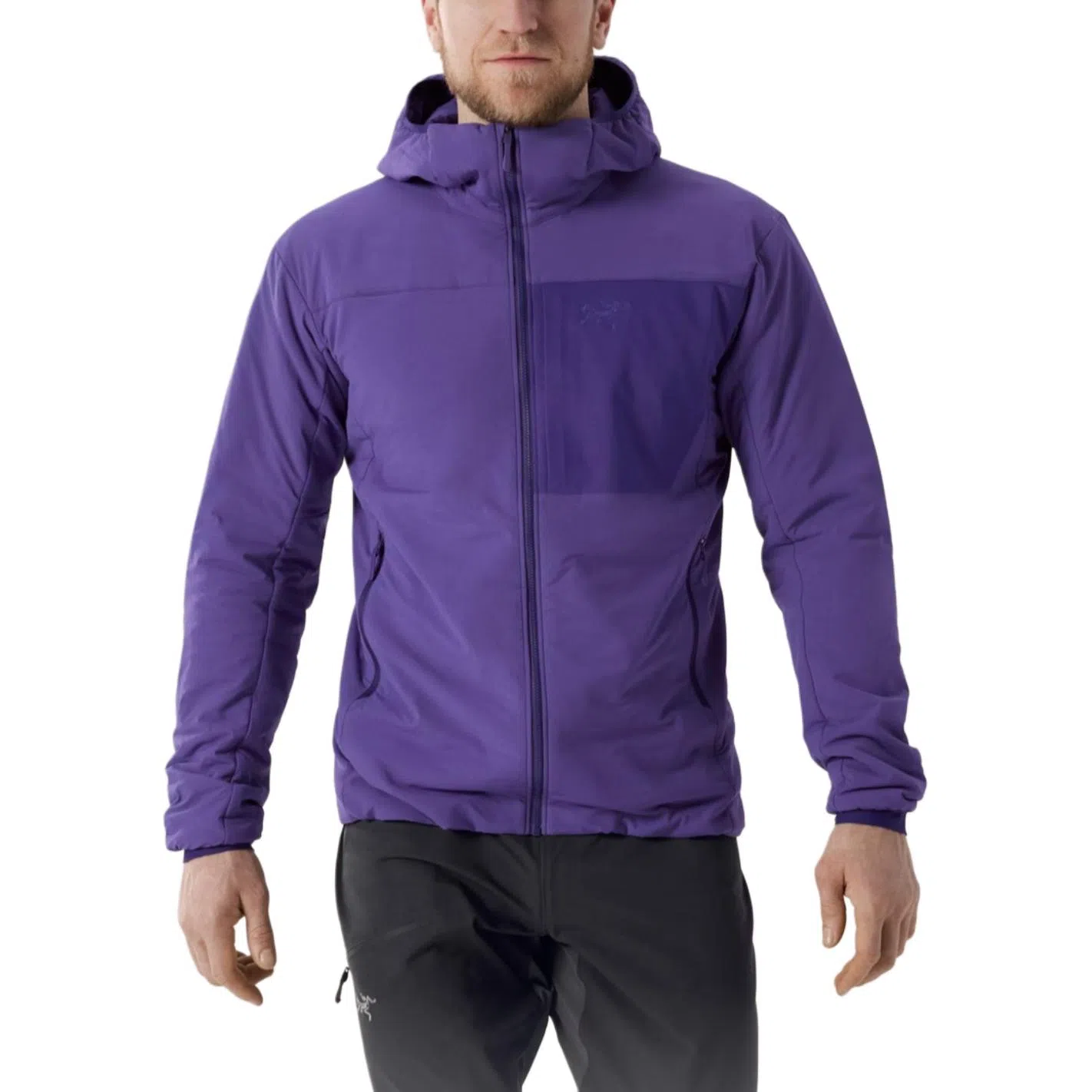 Arcteryx Proton Hoody