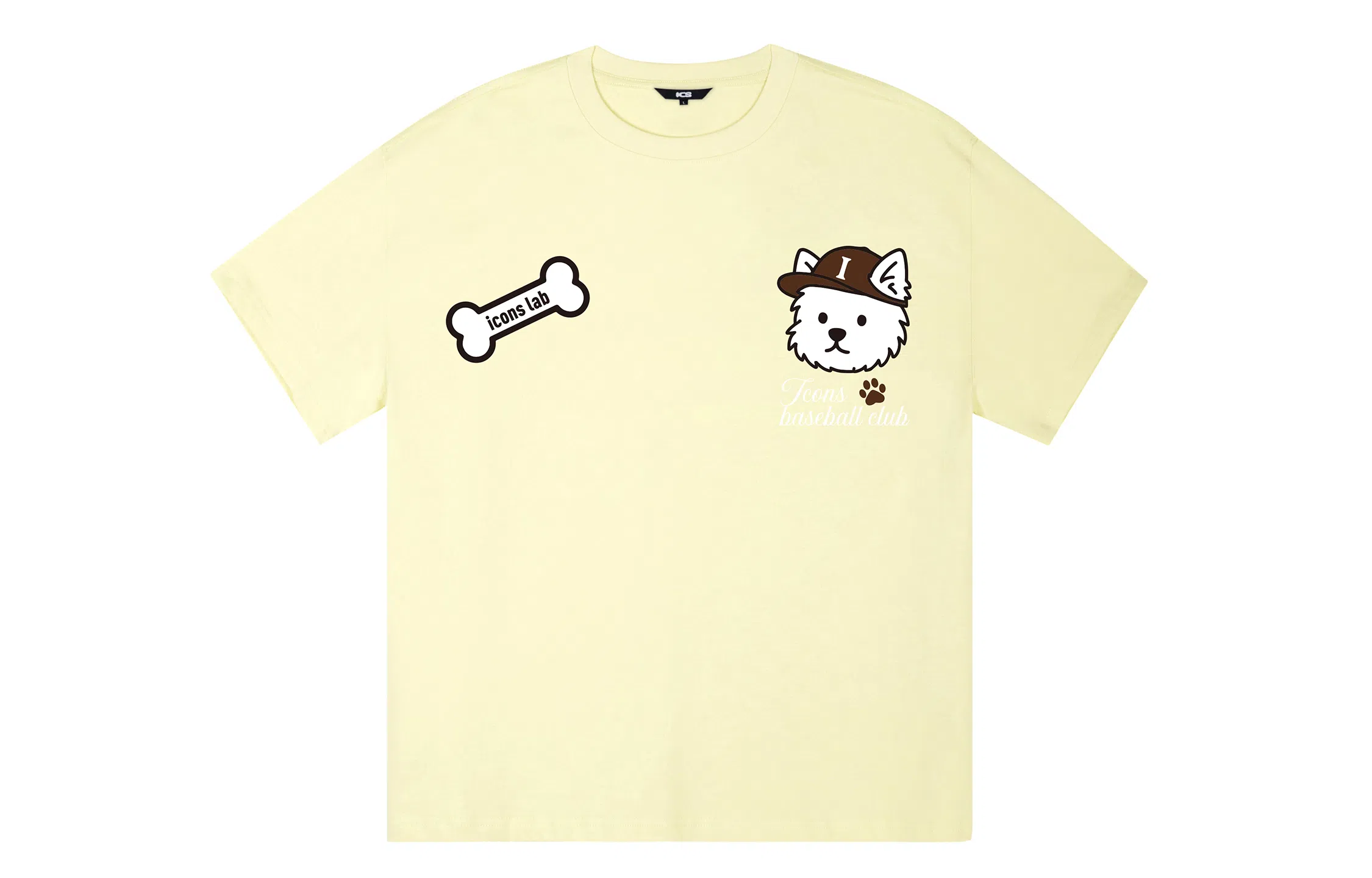 ICONS Lab ICS T