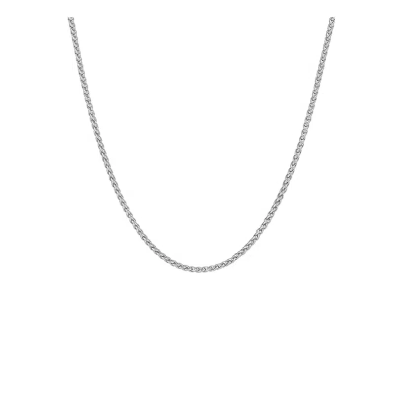 琅风 钛钢男士时尚简约龙骨项链 钛钢 项链 男款