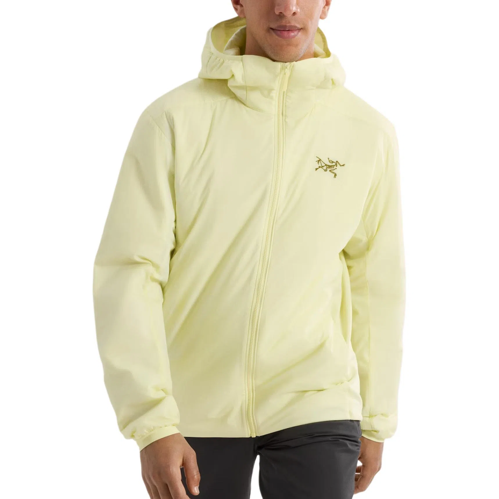 Arcteryx Atom Hoodie