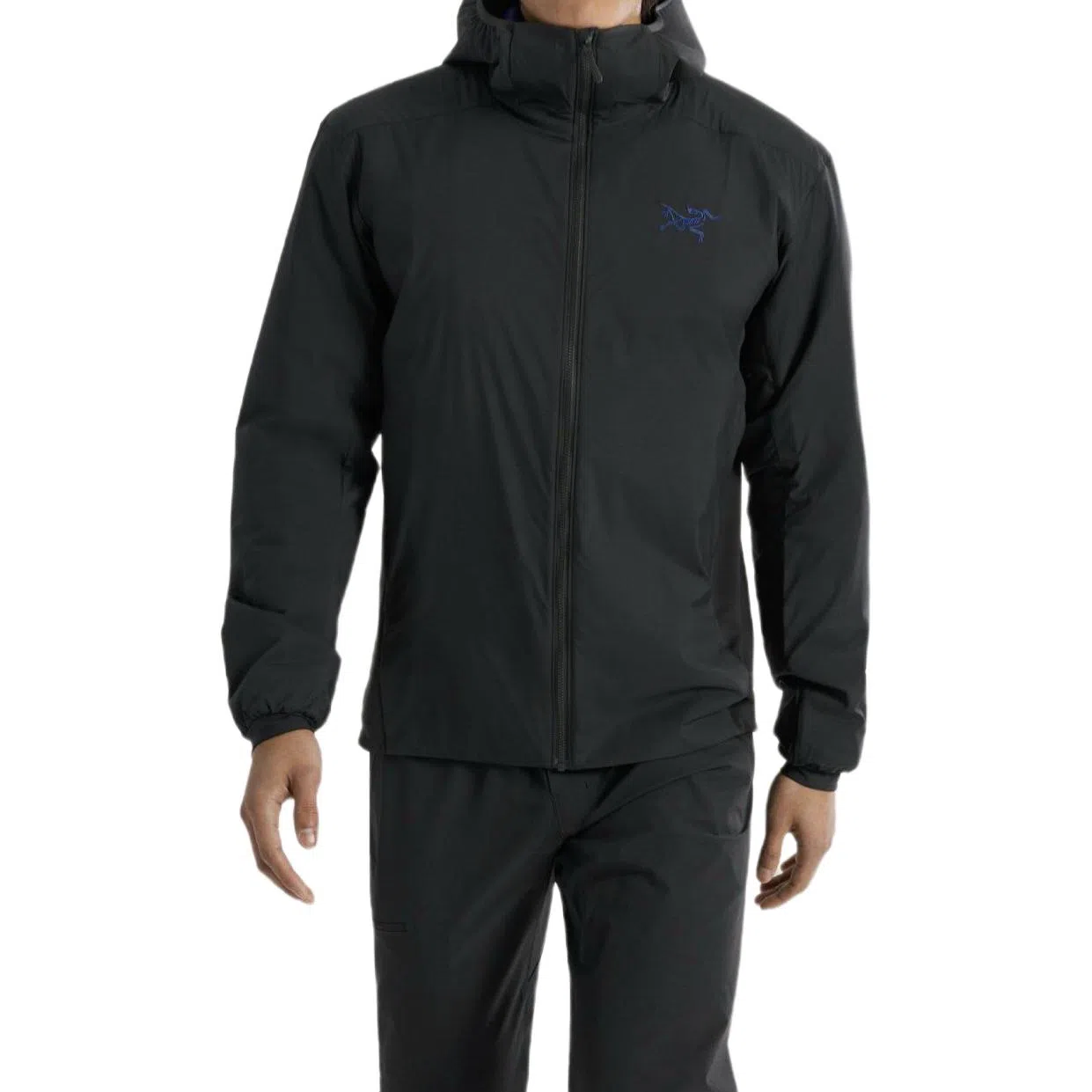 Arcteryx Atom Hoodie