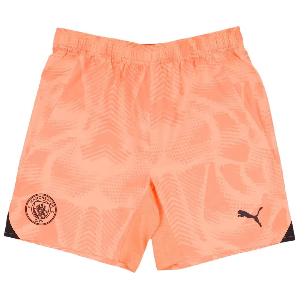 PUMA Manchester City 2024-25 GK