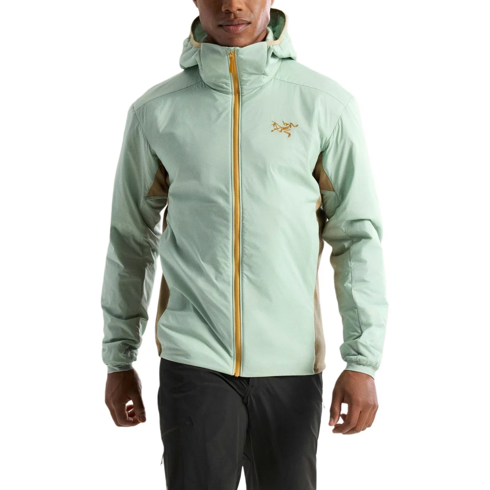 Arcteryx Atom Hoodie