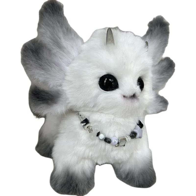 20cm