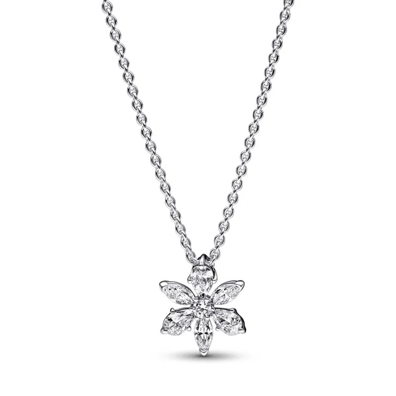 Pandora Hexagram 925 Silver Necklace