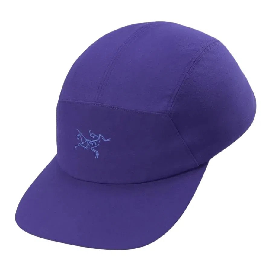 Arcteryx Logo Cap Purple