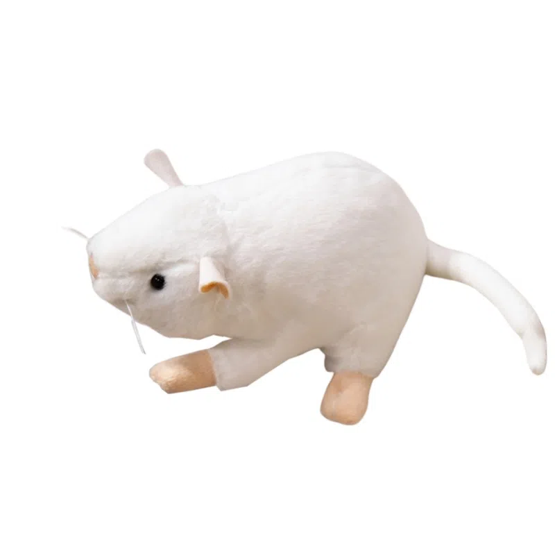 17cm