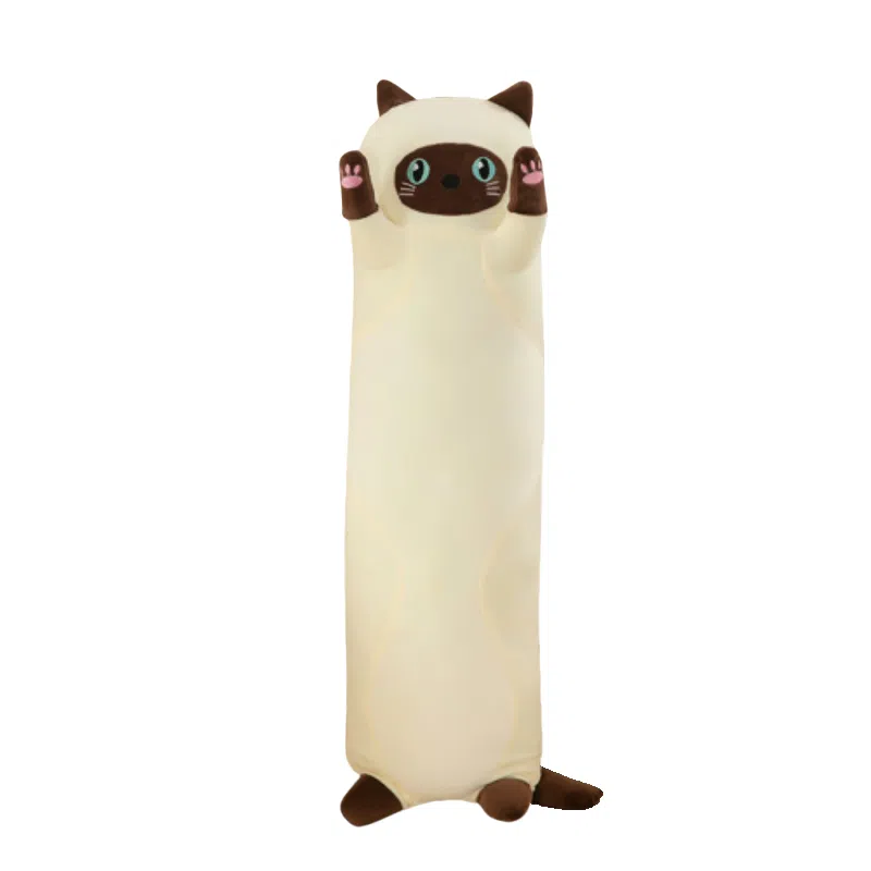 50cm