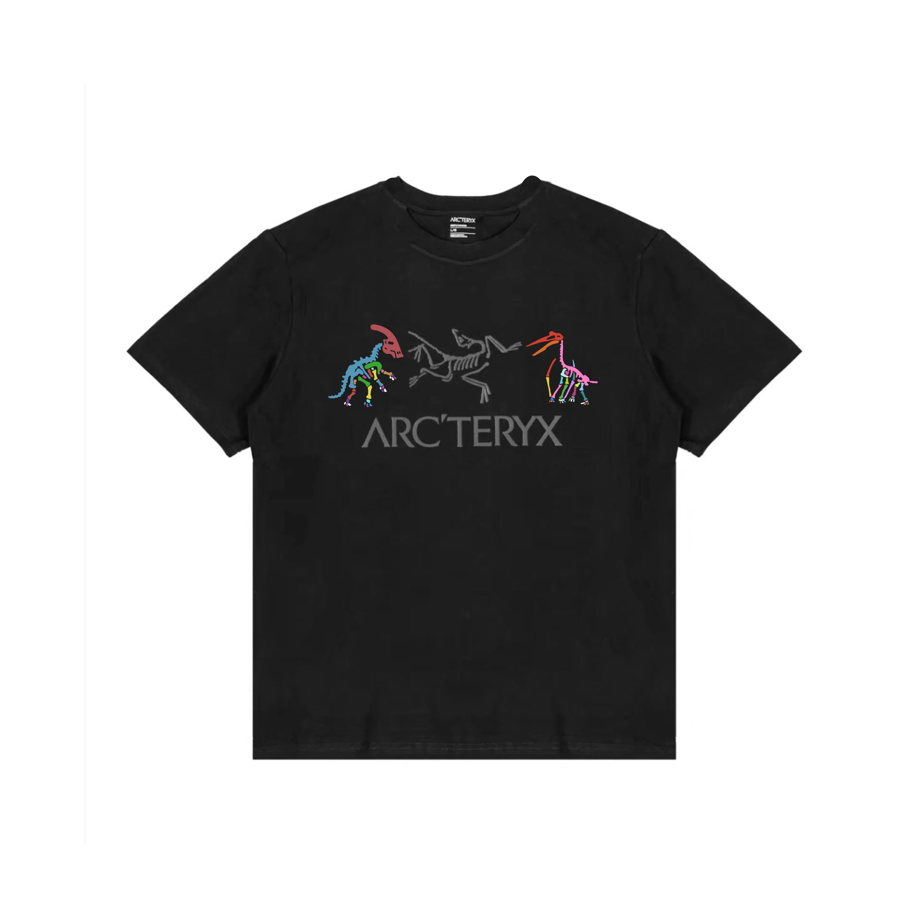 Arcteryx T
