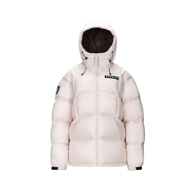 CAMEL Penguin Series