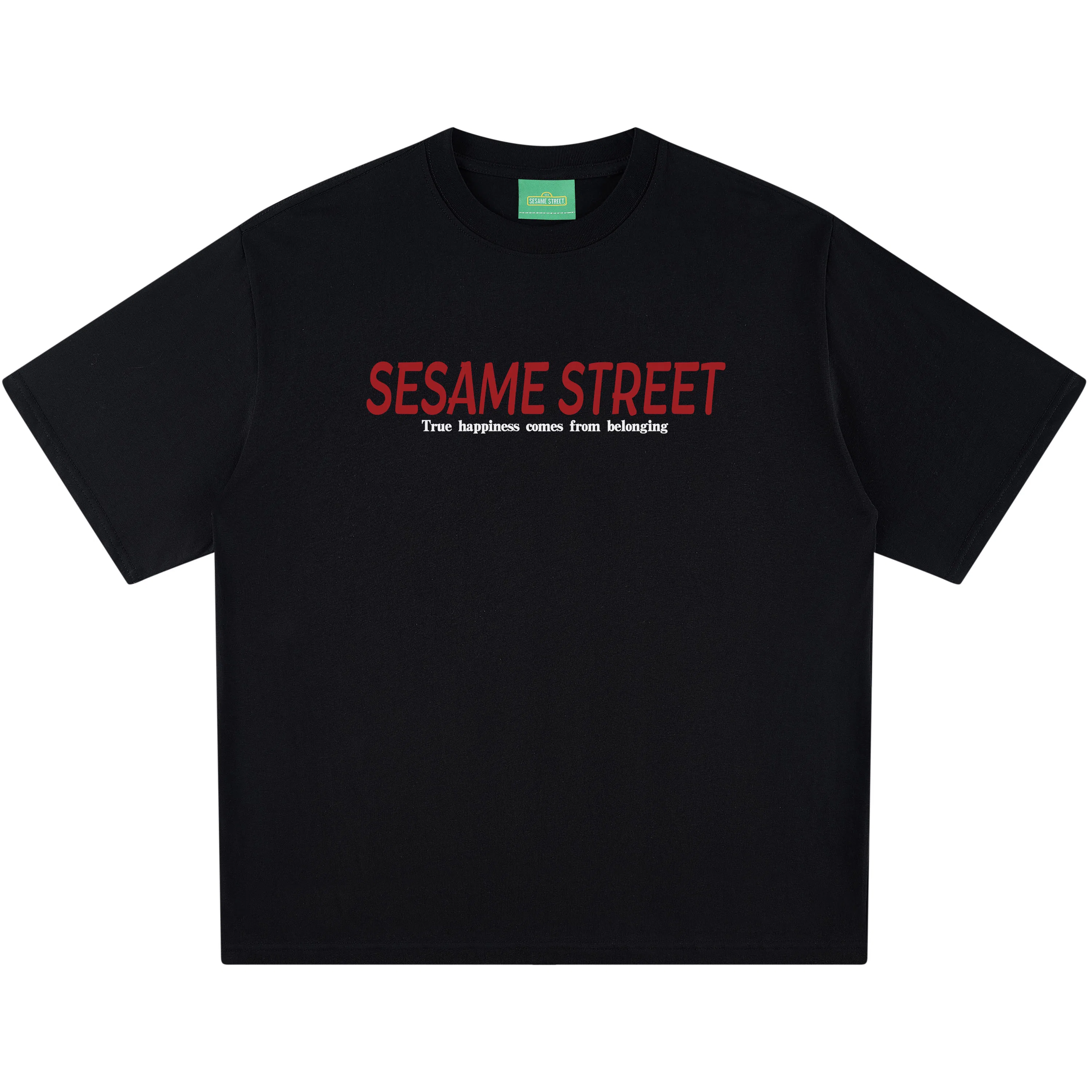 SESAME STREET logoT