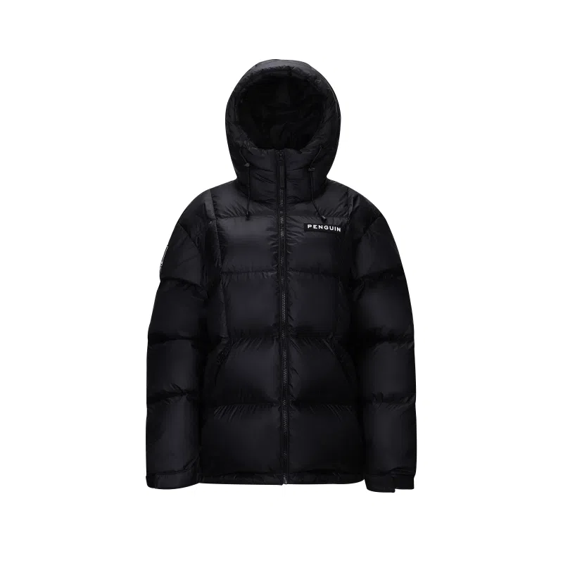 CAMEL Penguin Series