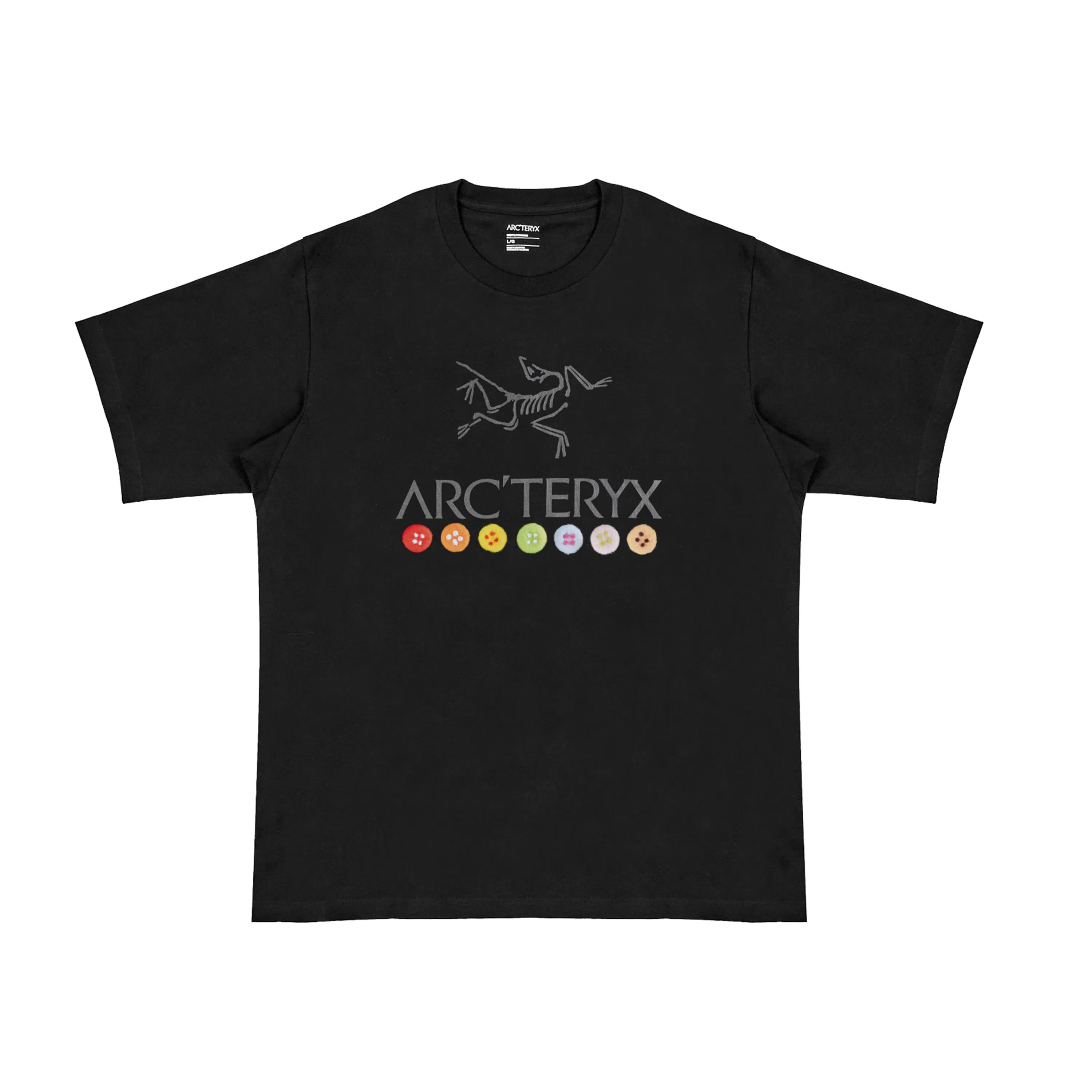 Arcteryx Skeleton T