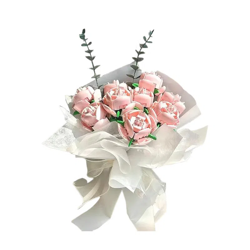 Brangdy DIY 0-300pcs BRA-JM-77-1