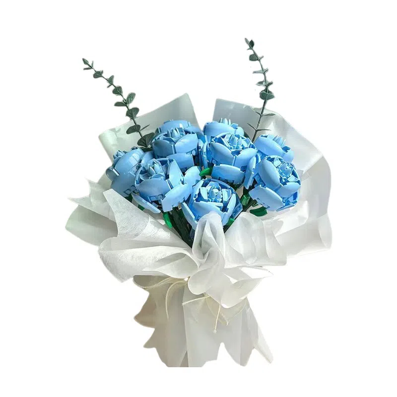 Brangdy DIY 0-300pcs BRA-JM-77-1