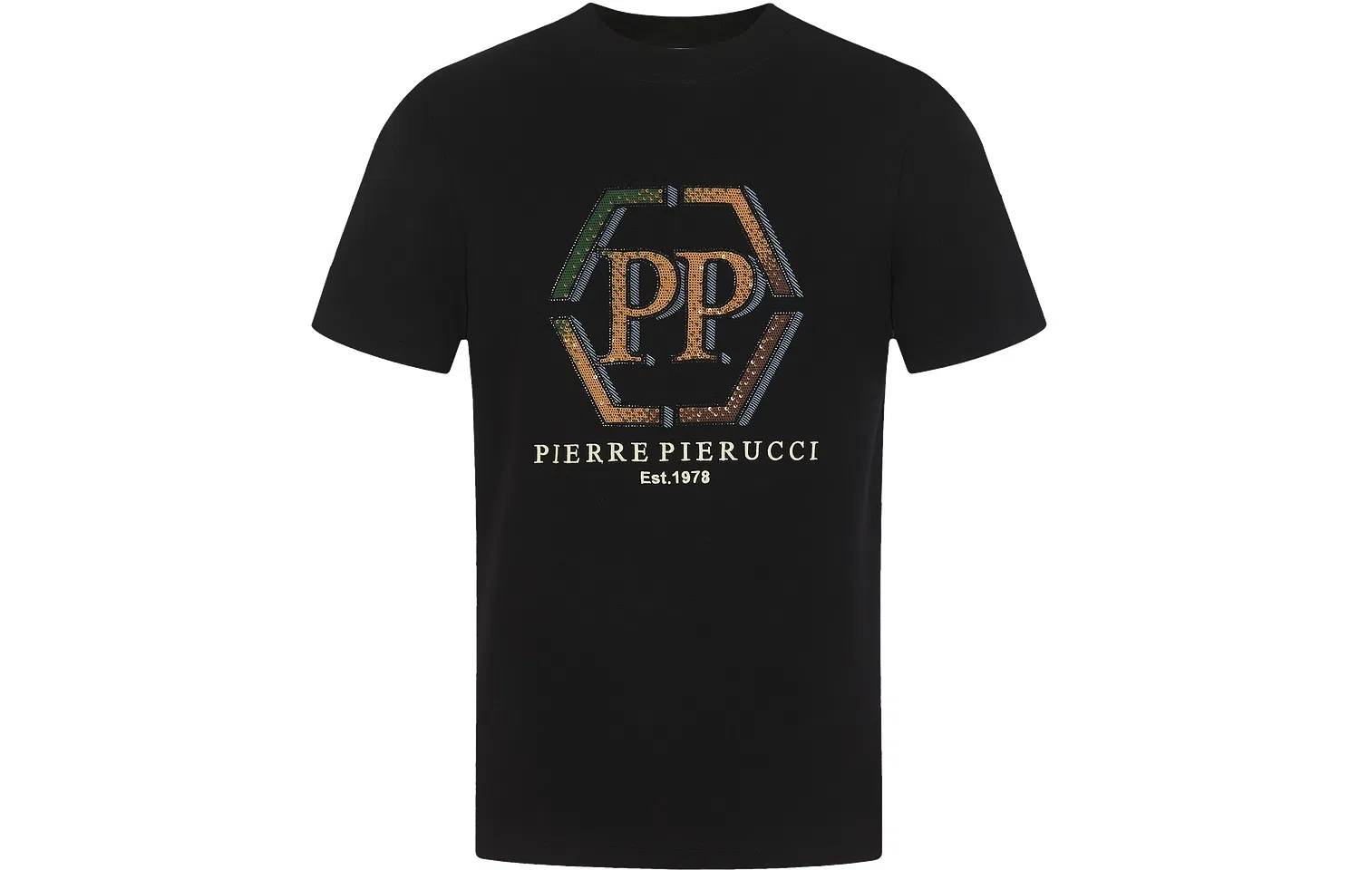 PP PIERRE PIERUCCI logoT