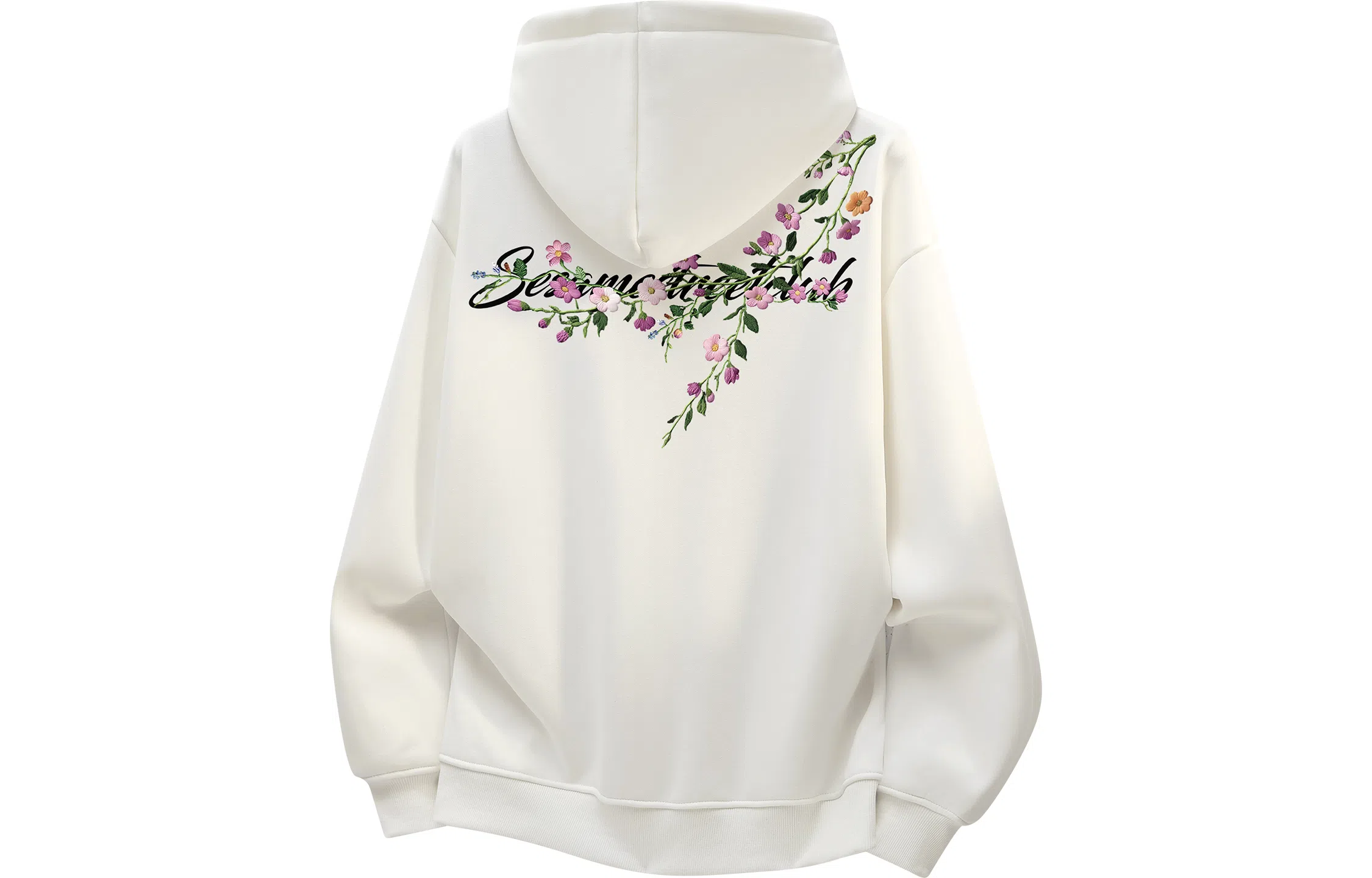 Sesame Street Hoodie