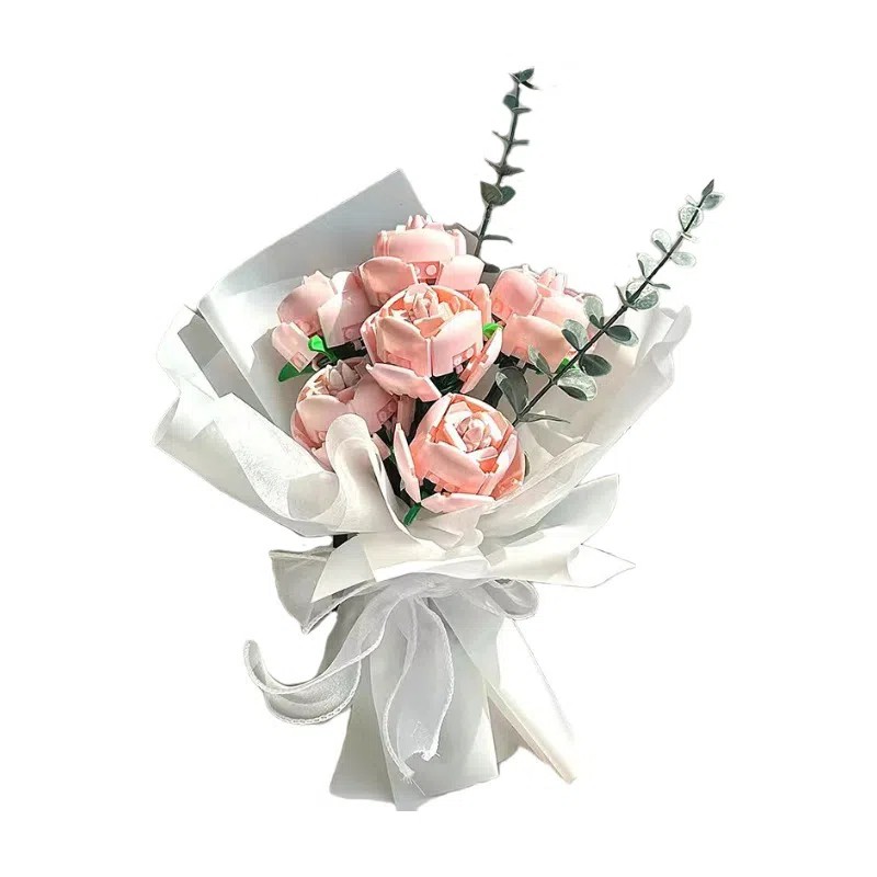 Brangdy DIY 0-300pcs BRA-JM-77-1