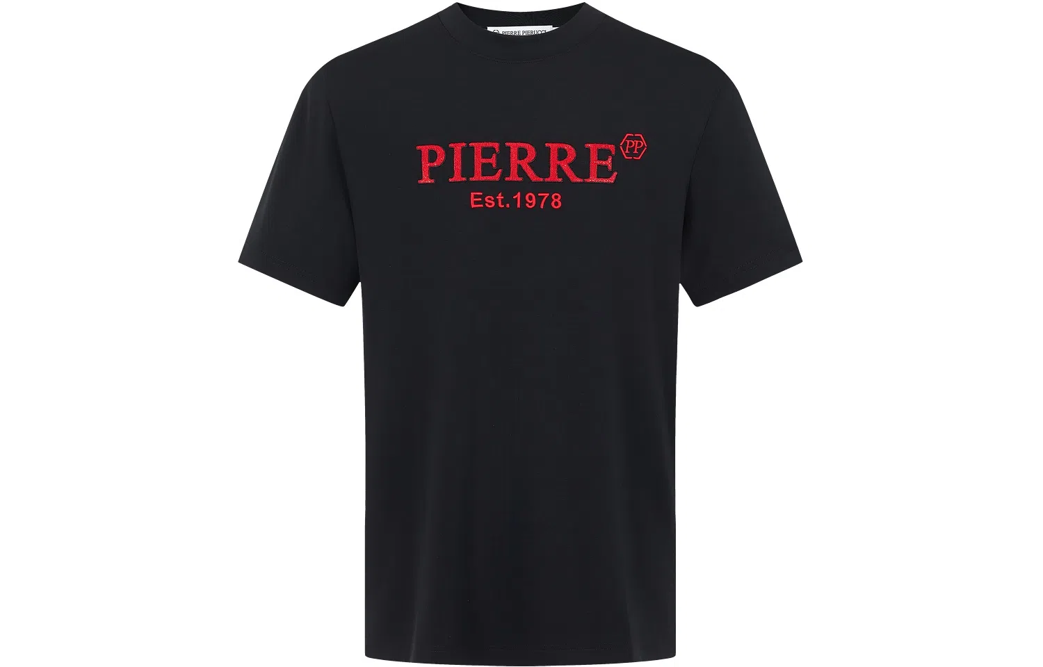 PP PIERRE PIERUCCI LOGOT