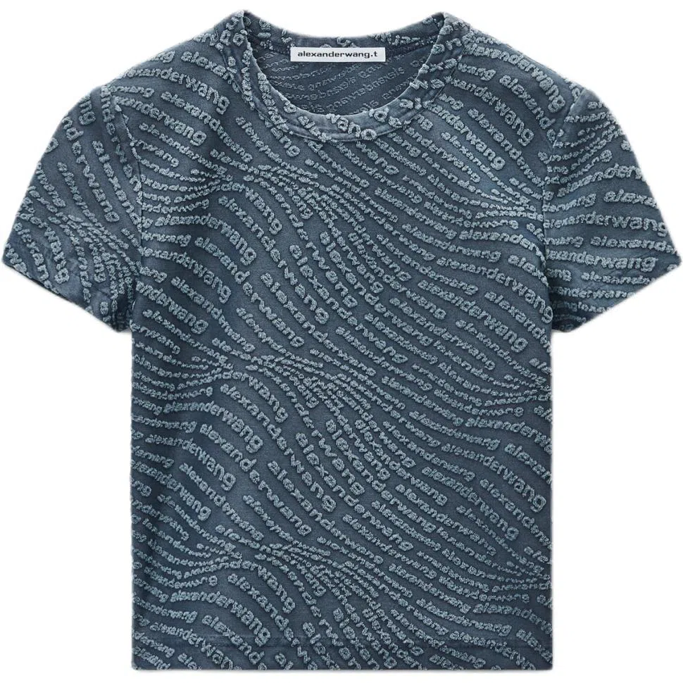 alexander wang FW25T