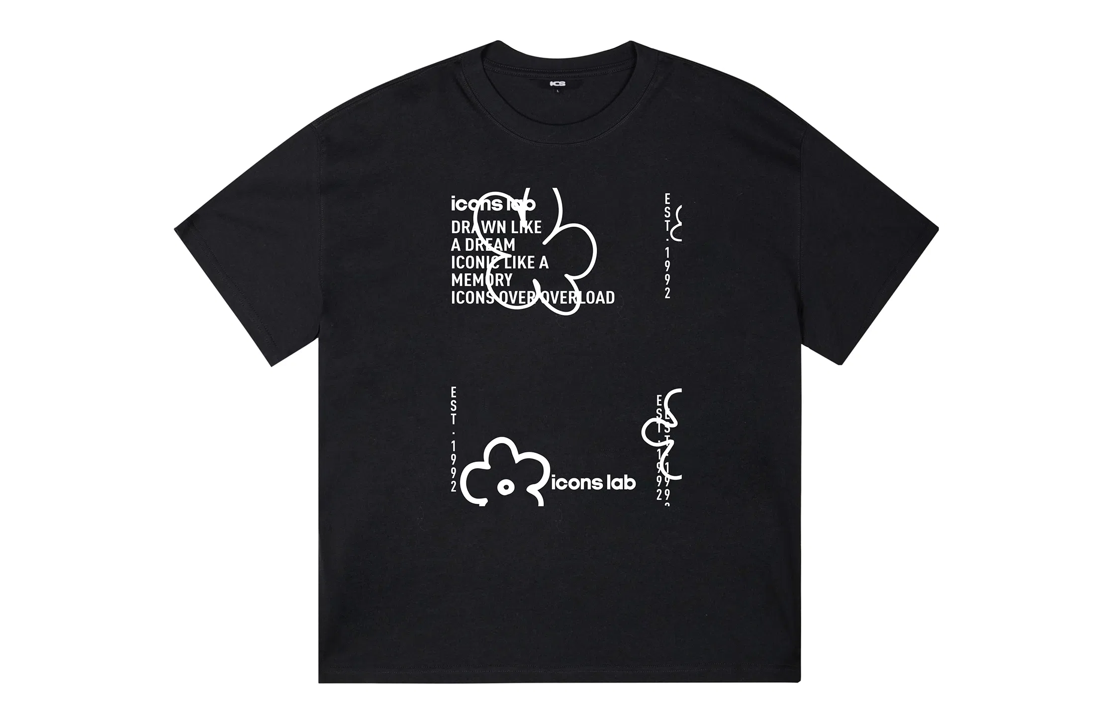 ICONS Lab ICS T