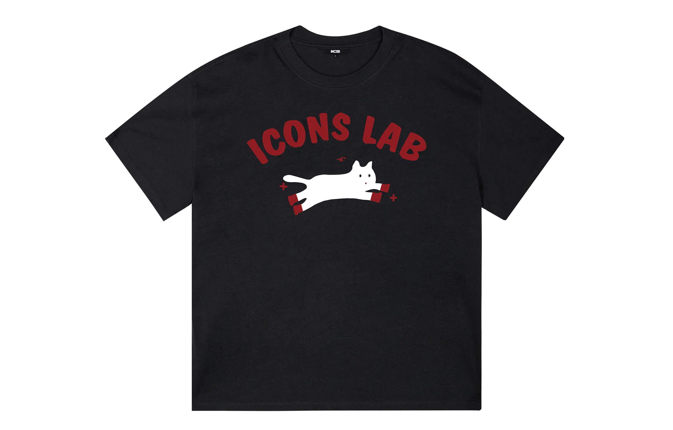 ICONS Lab ICS T