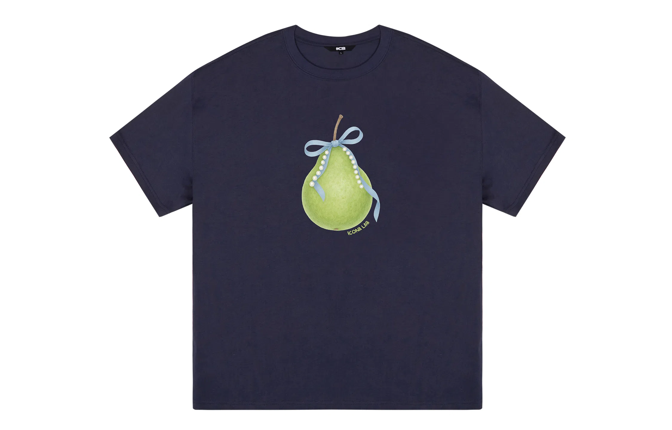ICONS Lab ICS T