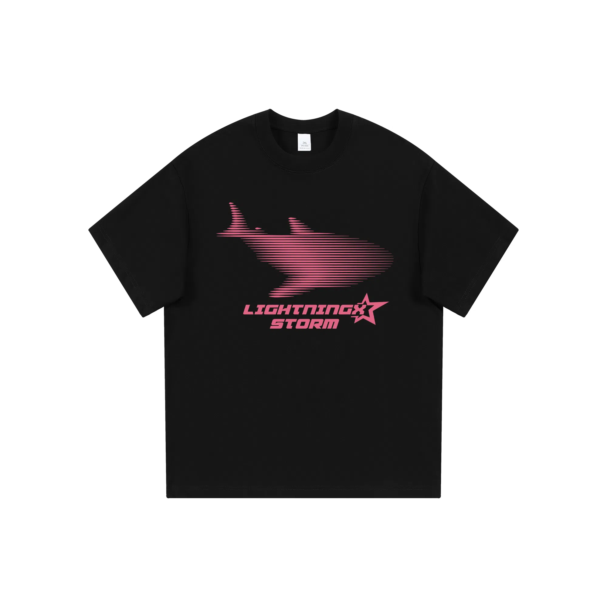 Lightning X Storm LogoT