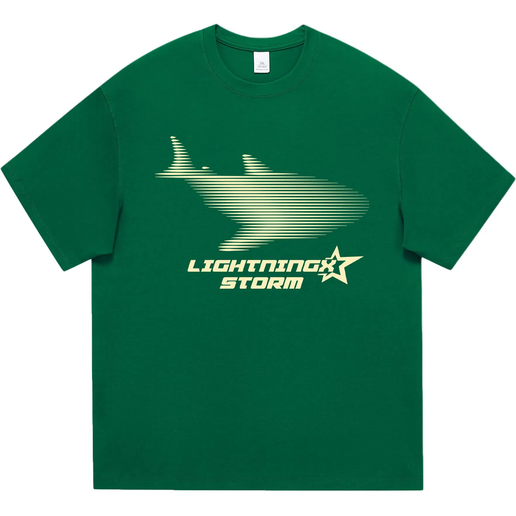 Lightning X Storm LogoT