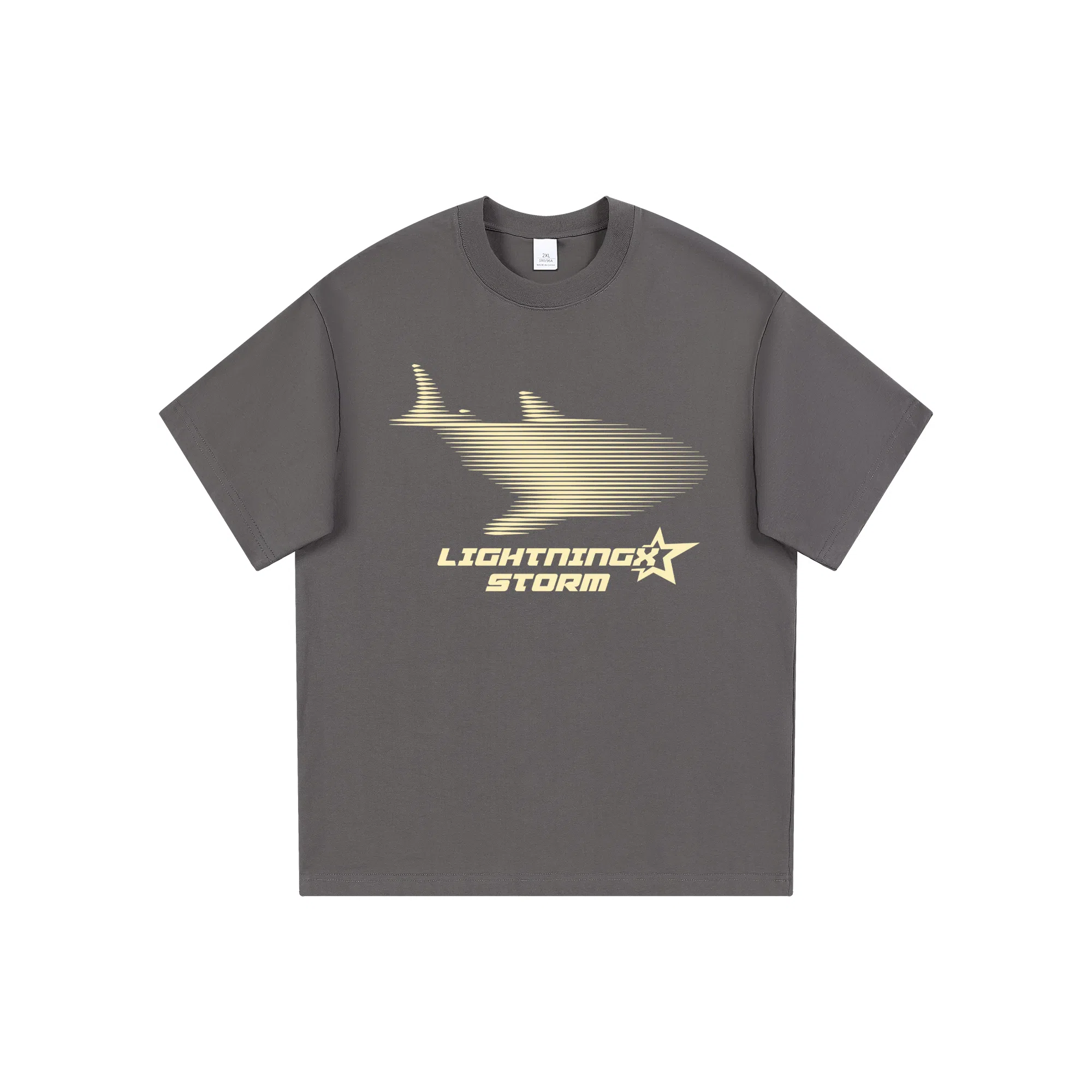 Lightning X Storm LogoT