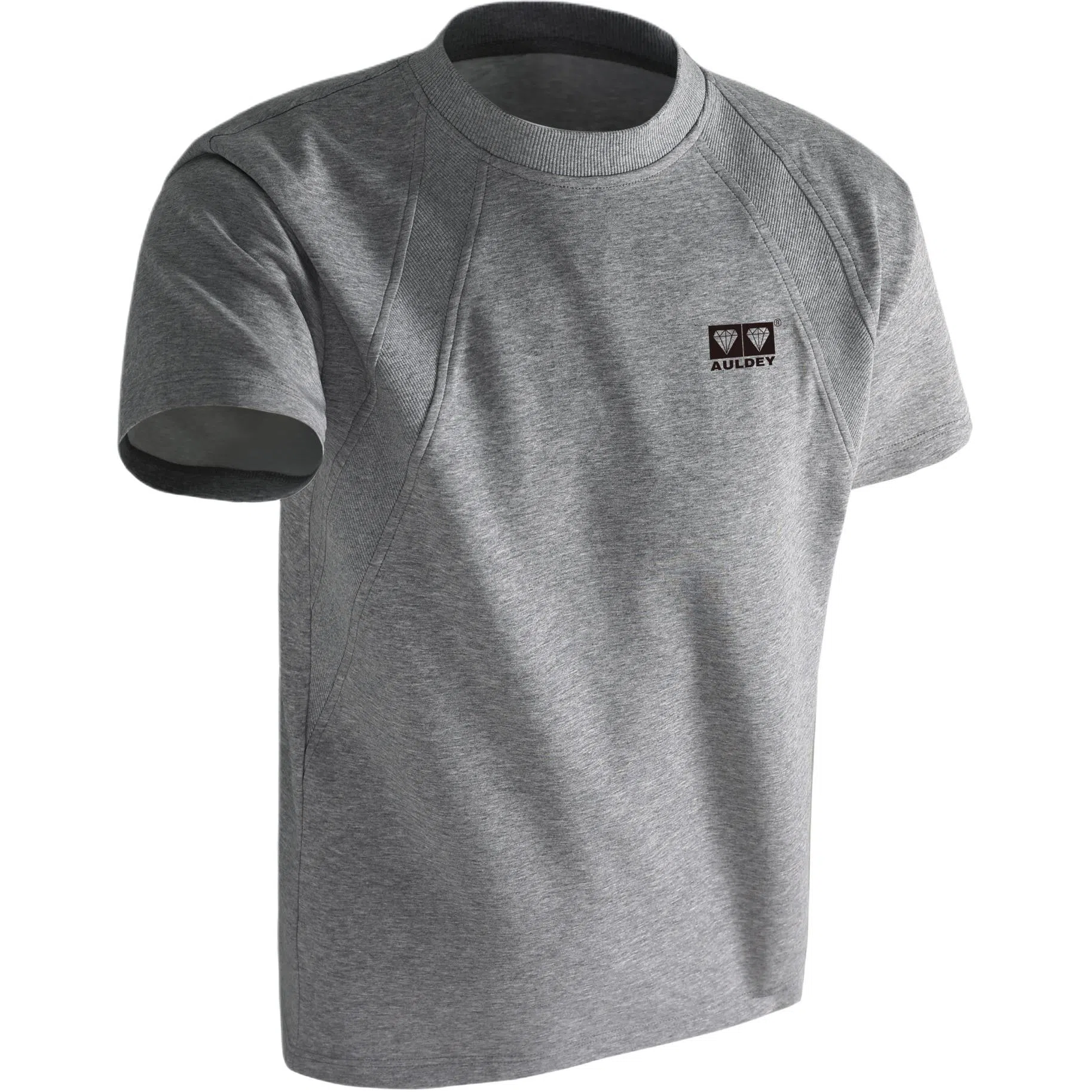 AULDEY logoT