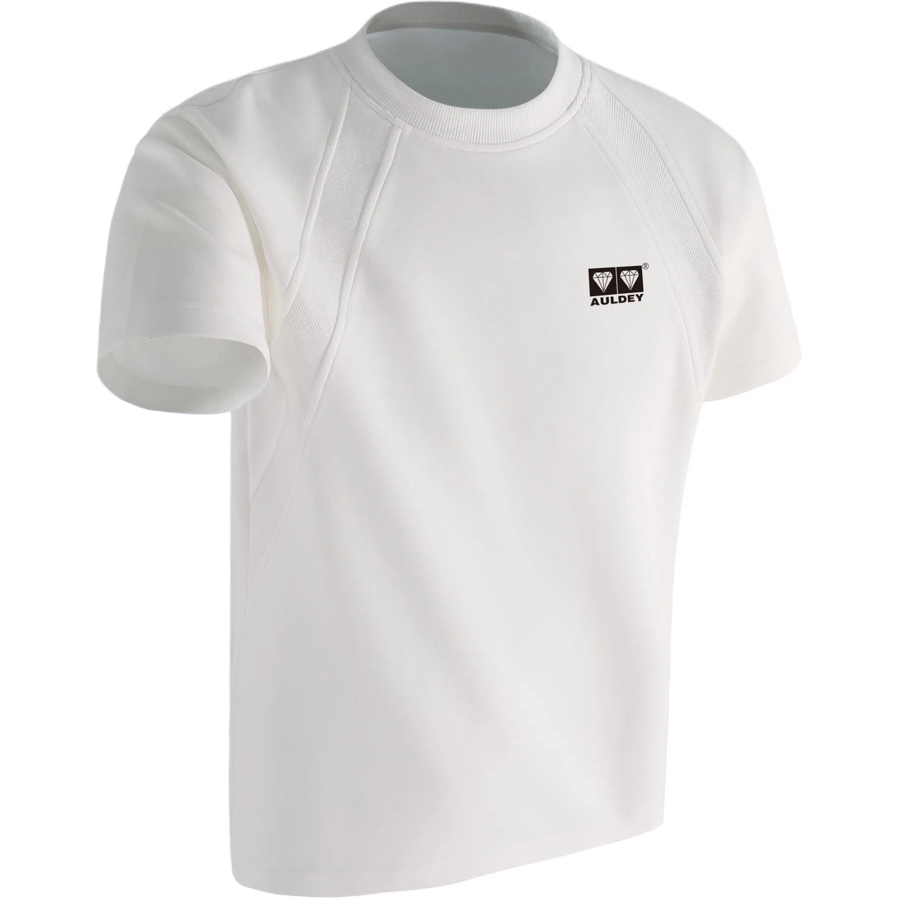 AULDEY logoT